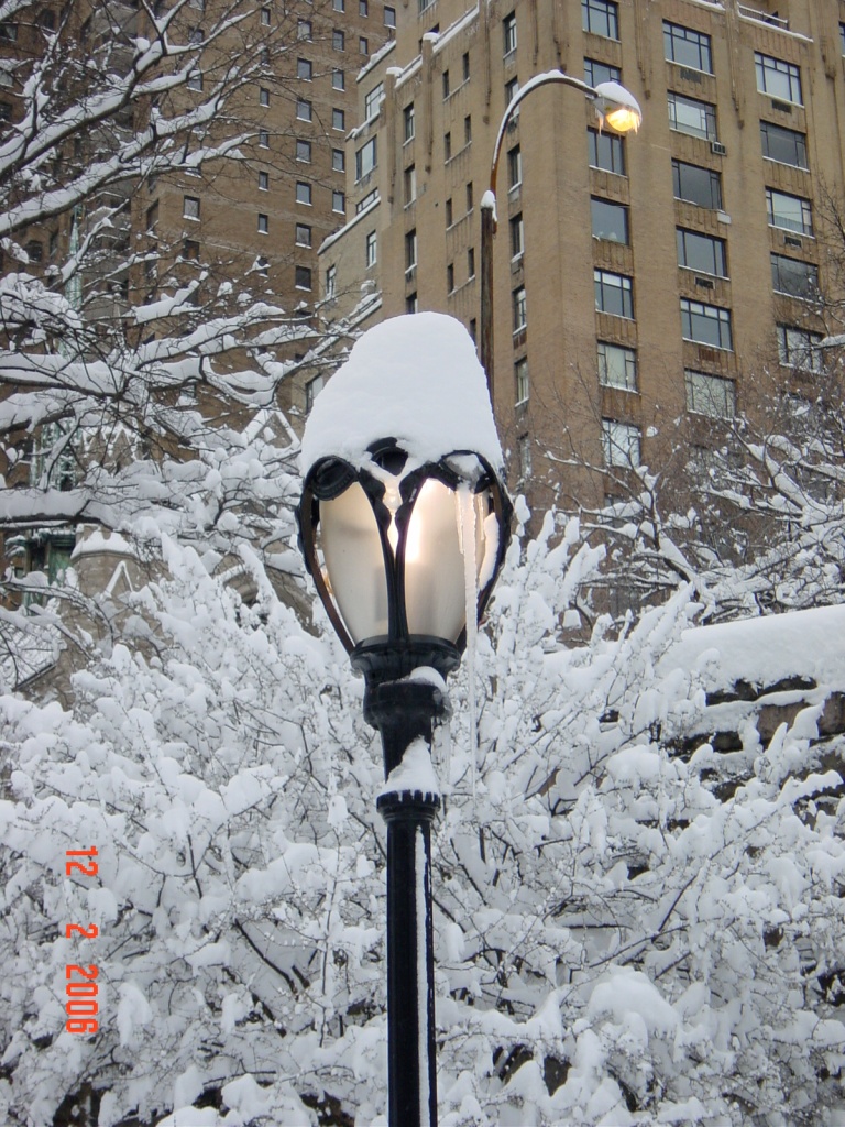 Central Park en la gran nevada.JPG